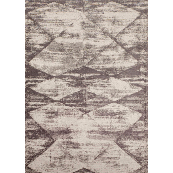 Vaip BASEL Gray 160x230