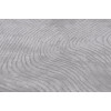 Vaip CANYON Silver 200x300