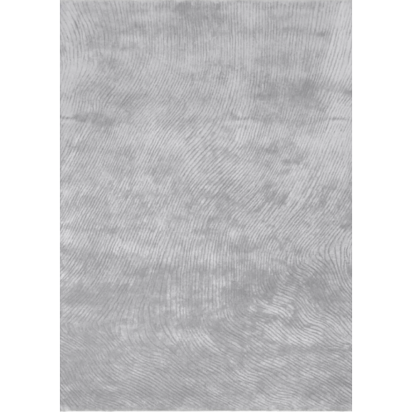 Vaip CANYON Silver 200x300