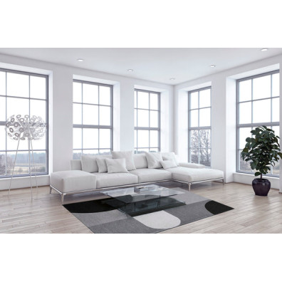 Vaip RENE Grey 200x300