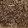 Sheepskin Sahara 