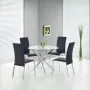 Laud RAYMOND color transparent