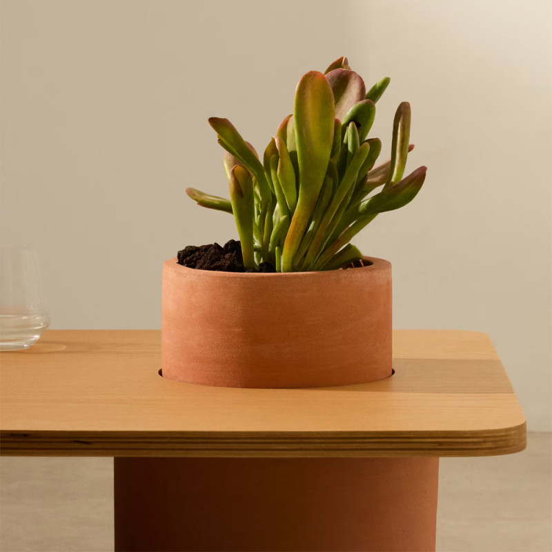 Diivanilaud 110 x 60 cm Olaria