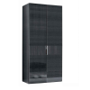 Riidekapp Montecarlo 2-ukseline 115х63х239 cm