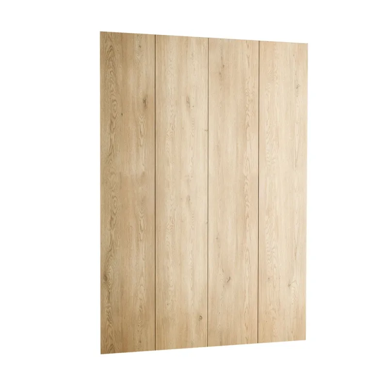 Wardrobe door 160x240 Stor