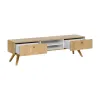 TV unit Nature