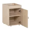Container for desk Stige