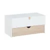 Storage unit with drawer and movable container Stige
