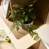 Well широкая подвесная полка