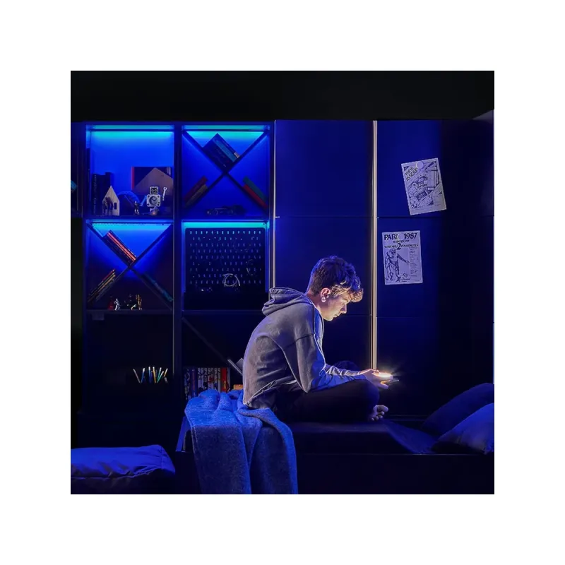 Светодиодная подсветка RGB с пультом дистанционного управления, комплект из 2 предметов, черный. Young Users Next