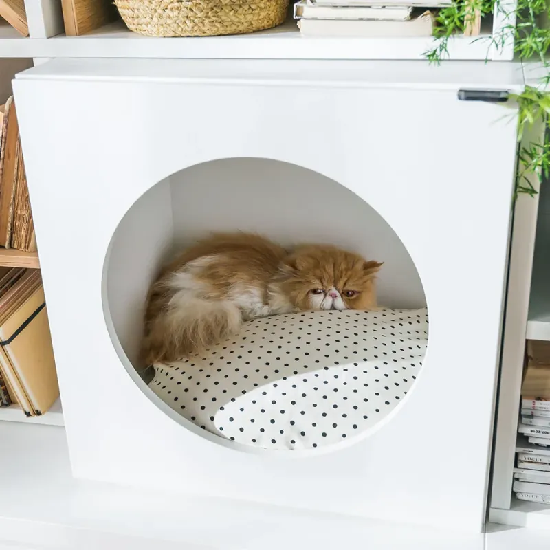 Cabinet for pets Young Users