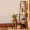 Põrandal seisev nurgariiul  42 x 150 cm Victora