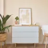Anielle massiivpuust ja saareviinerist kummut kolme sahtliga 99 x 78 cm
