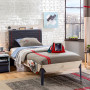 Bed Line Trio
