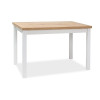 Table Adam 120