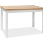 Table Adam 120