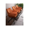 Tool Azalia Velvet