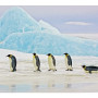 Seinapilt Penguins