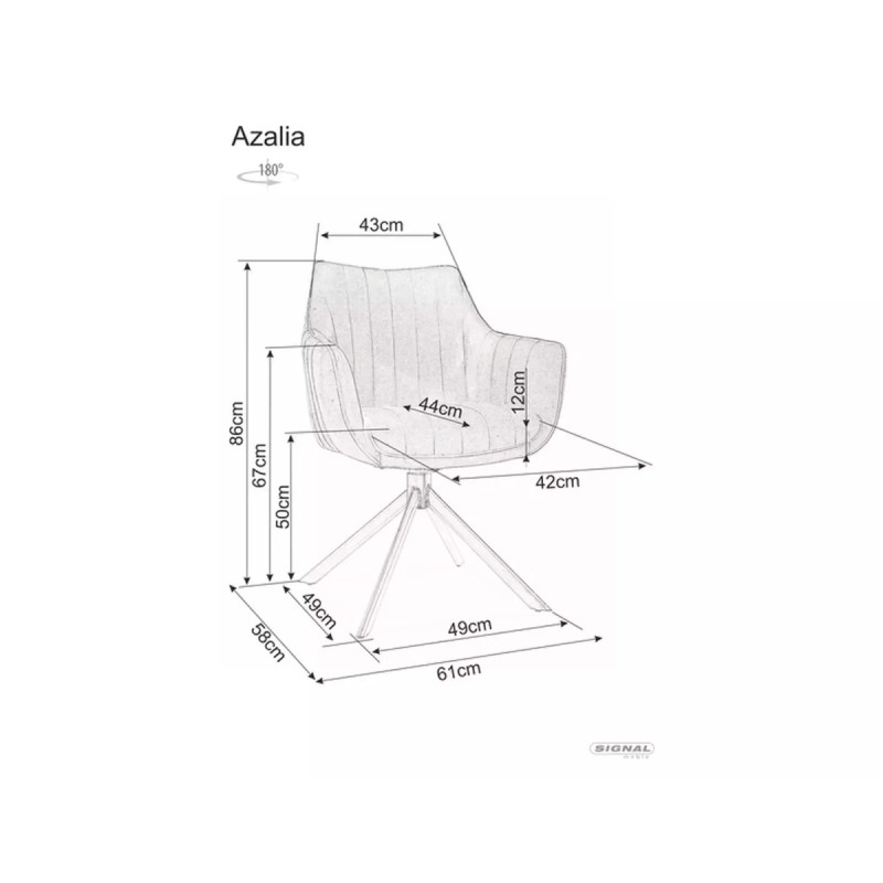 Chair Azalia Brego