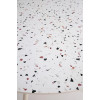 Table ARAMIS
