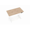 Desk B53 artisan oak / white