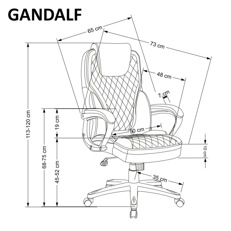 Office chair GANDALF