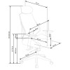 Office chair HASEL