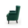 Armchair TITAN dark green