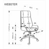 Kontoritool WEBSTER pähkel/beež