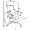 Office chair ZOOM