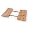 Table XAVIER