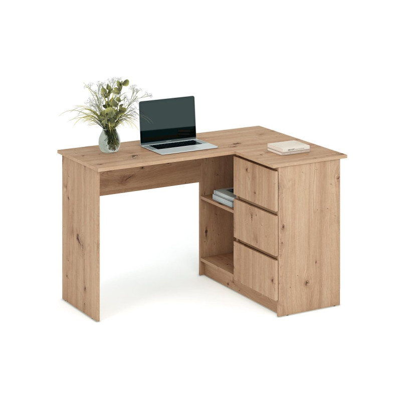 Kirjutuslaud BEGA artisan tamm