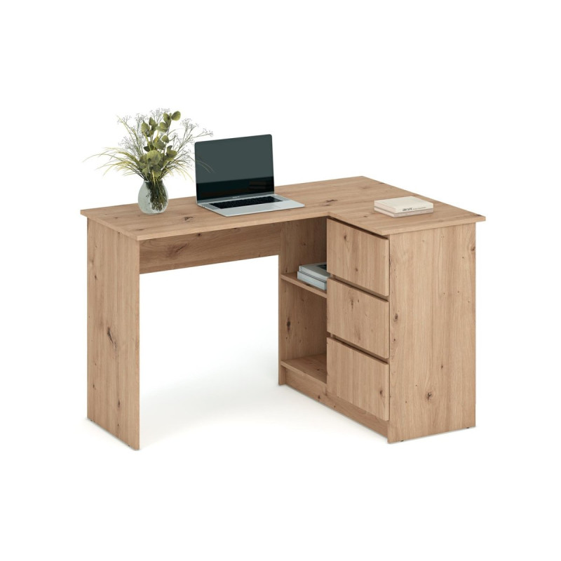 Kirjutuslaud BEGA artisan tamm